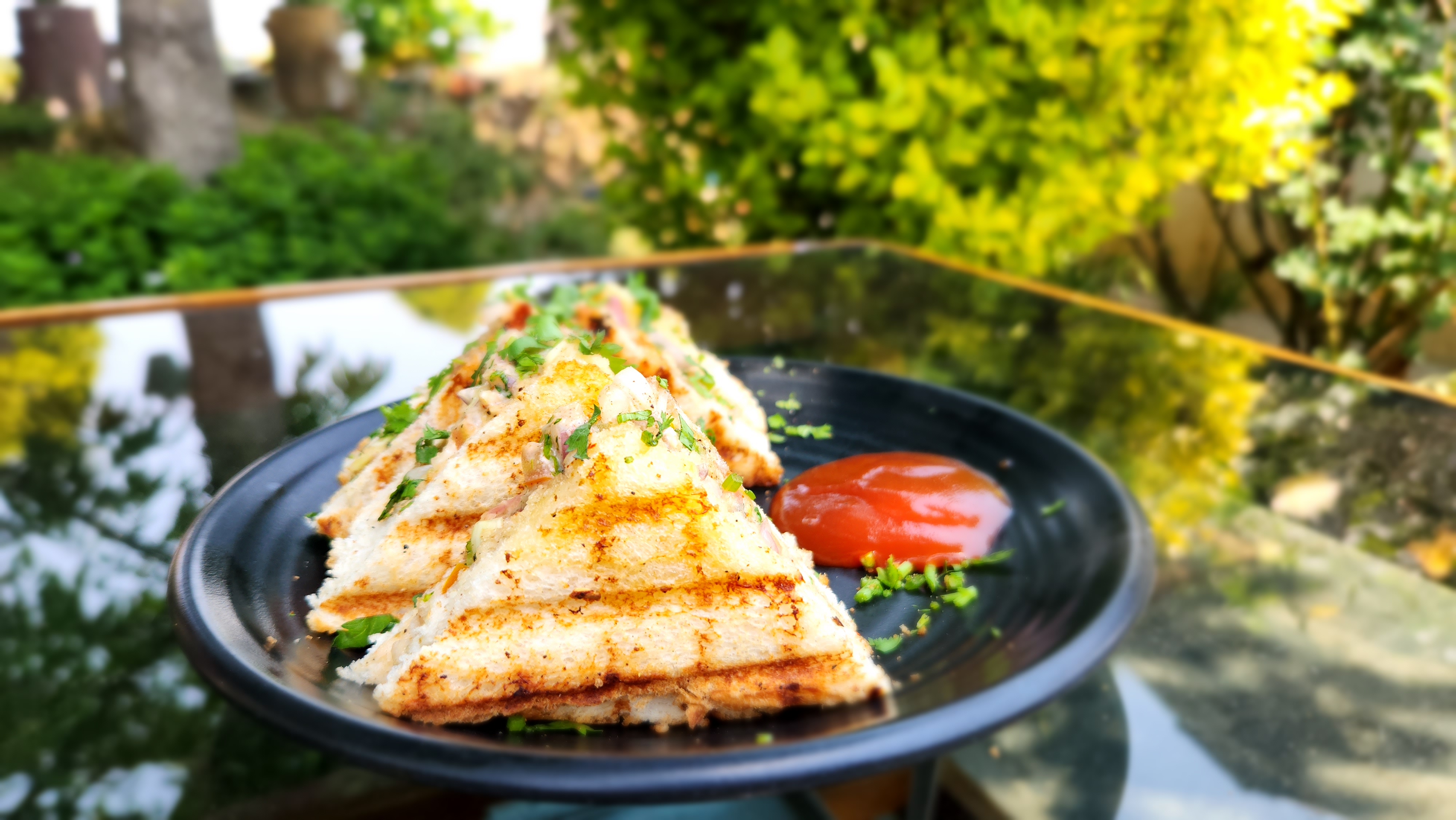 Grilled Sandwich